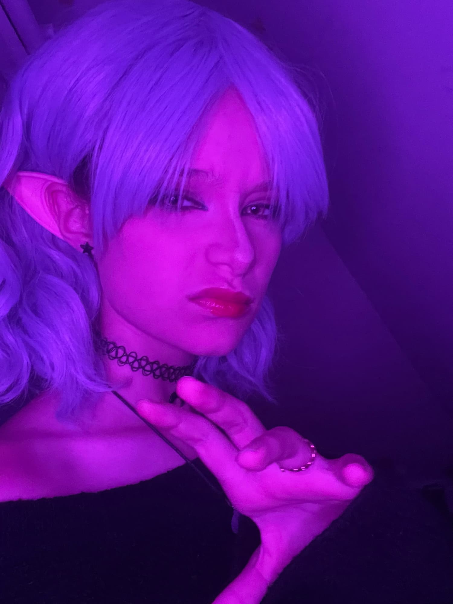 Amity blight  - Photo 7