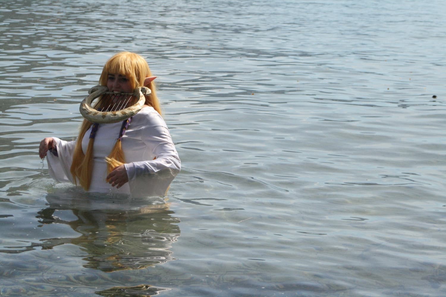 Zelda Skyward Sword  - Photo 10