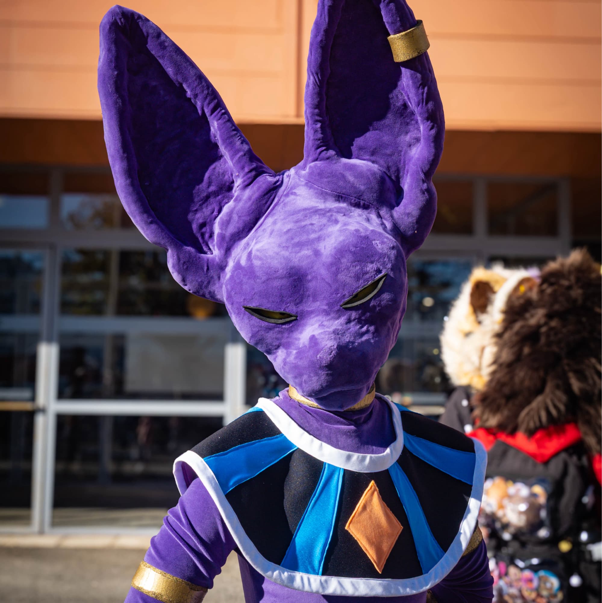 Beerus - Dragon Ball cosplay photoshoot cover