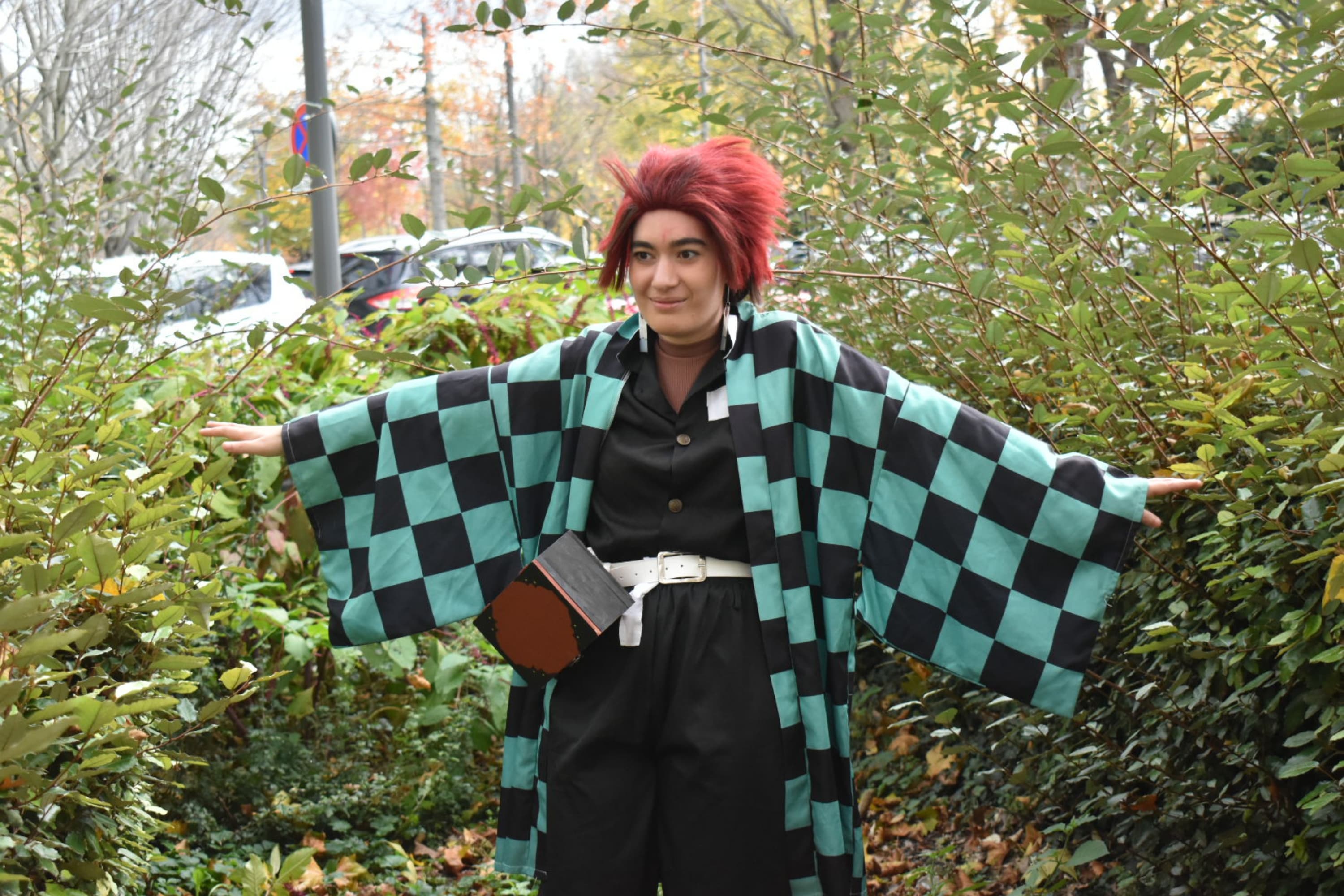 Tanjiro kamado  - Photo 4