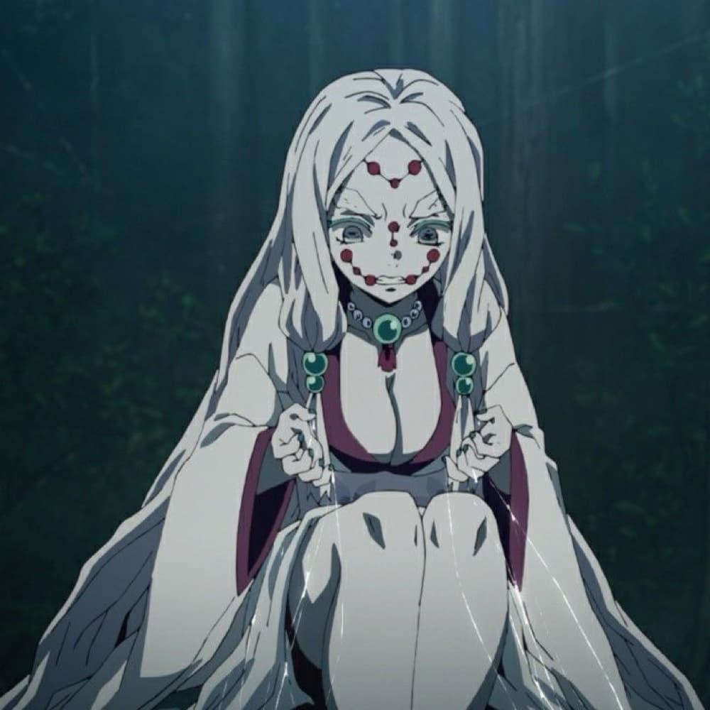 Mother spider  - Photo 9