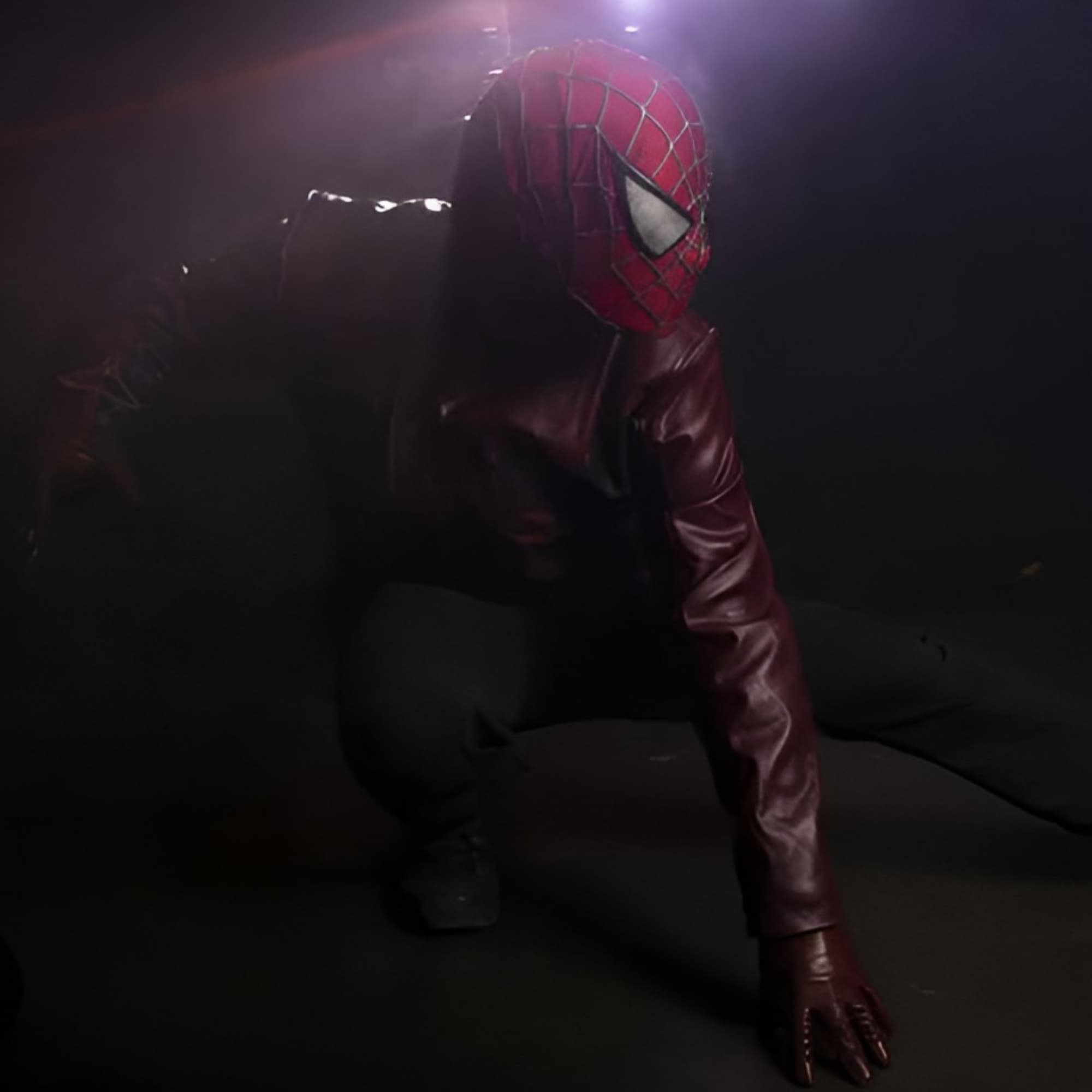 Spiderman Last Stand