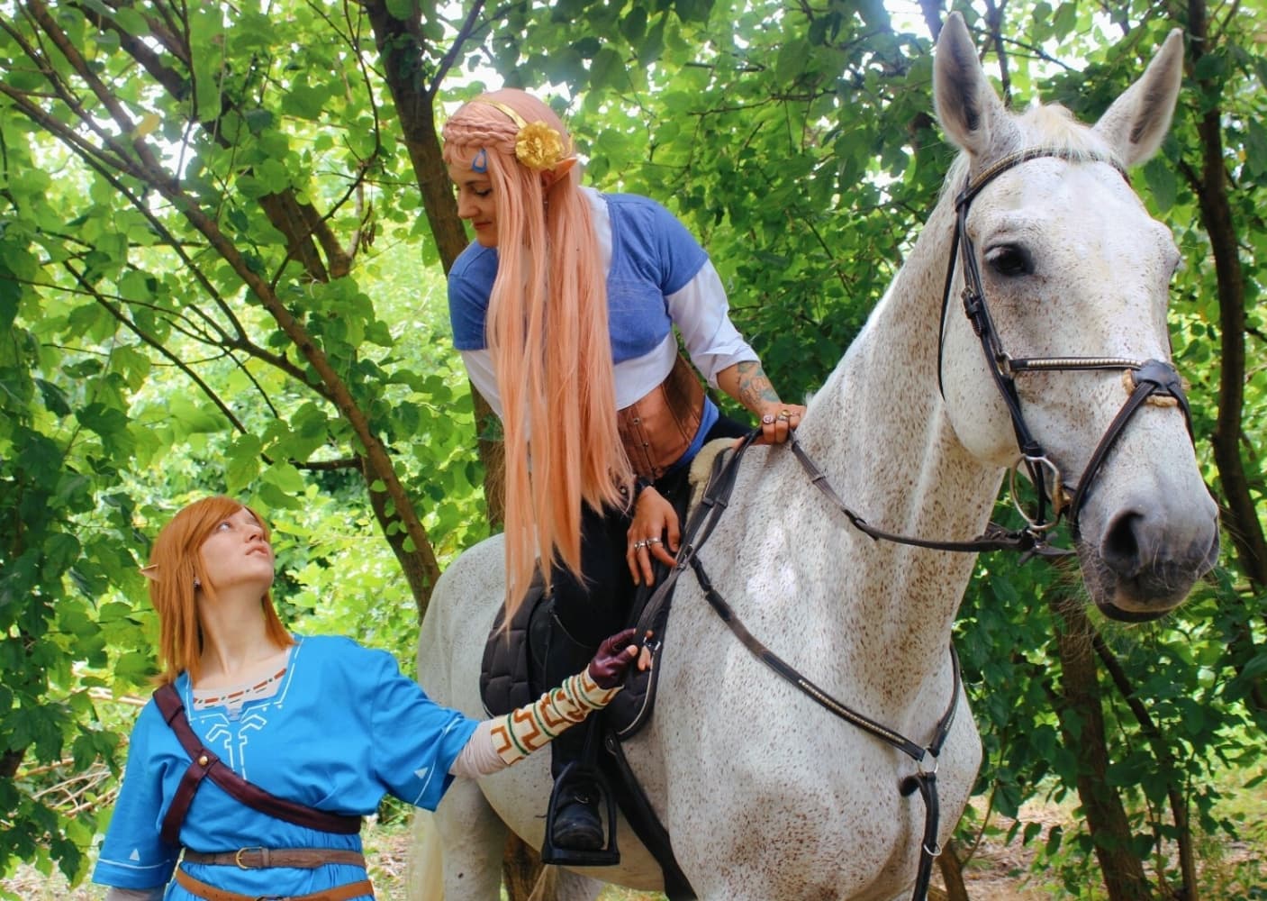 Link (Botw) - Photo 1