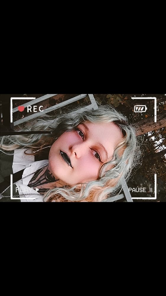 La forêt interdite - Photo 14