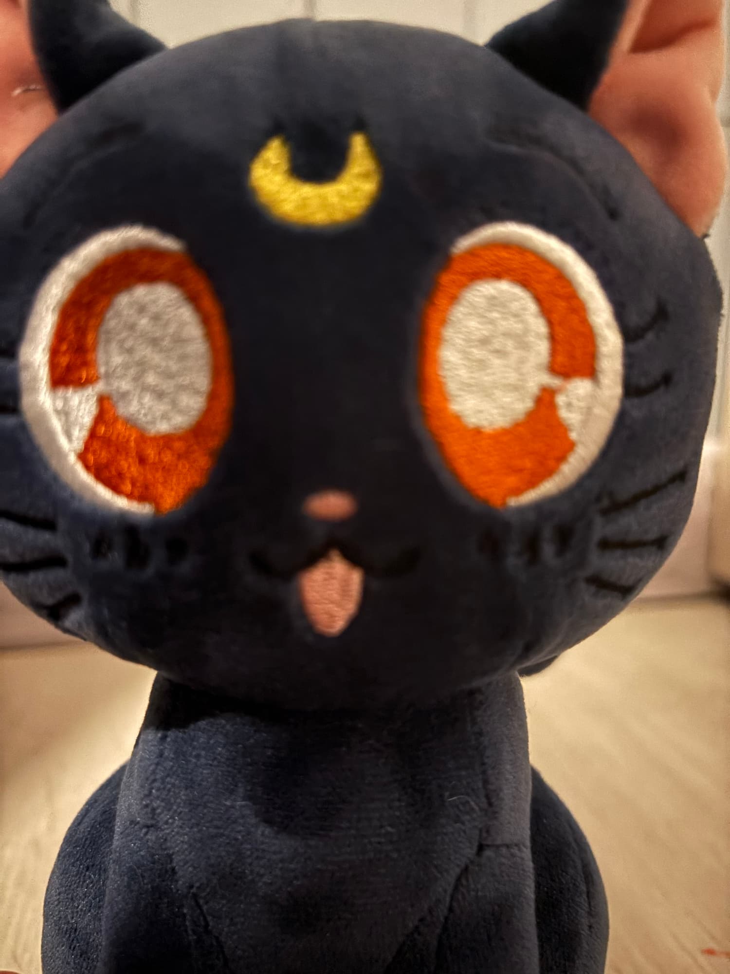 Chat (Sailor moon) - Photo 4