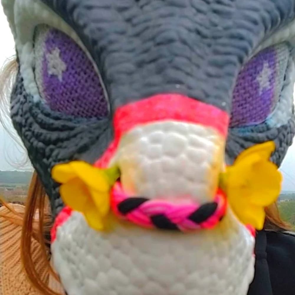 Photo Lucky - Photo 5