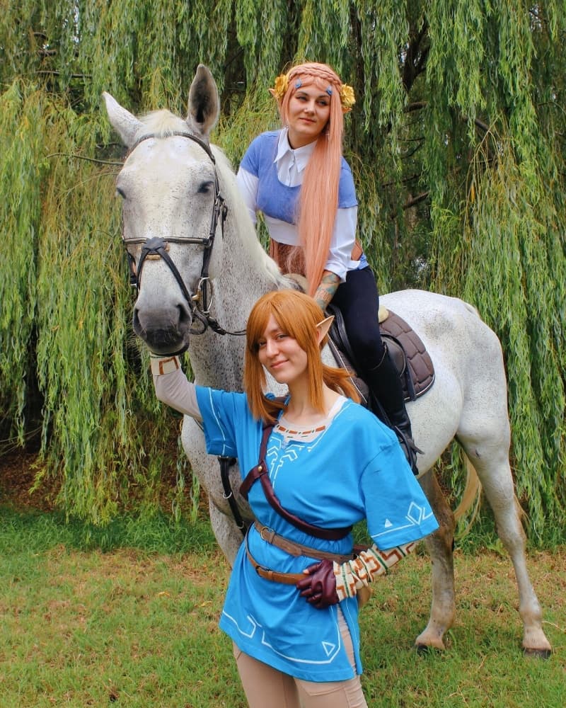 Link (Botw) - Photo 15