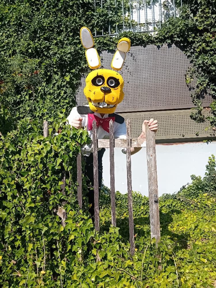 Dave Miller - Photo 2