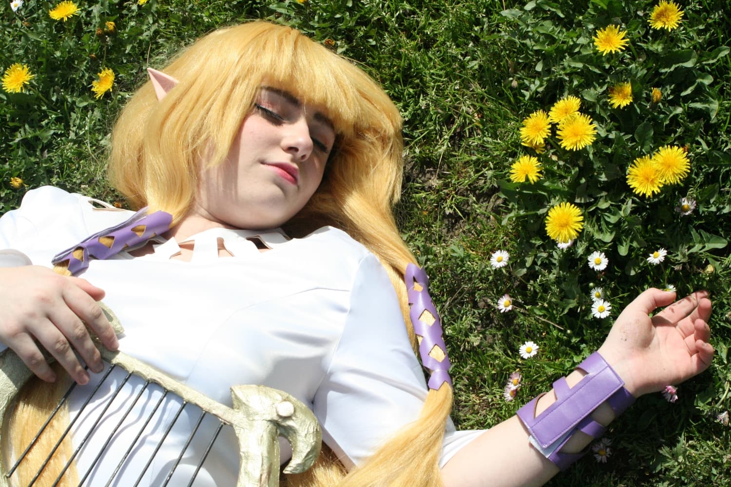 Zelda Skyward Sword  - Photo 23