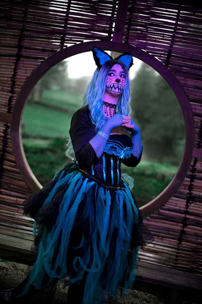 Chat du Cheshire - Photo 5