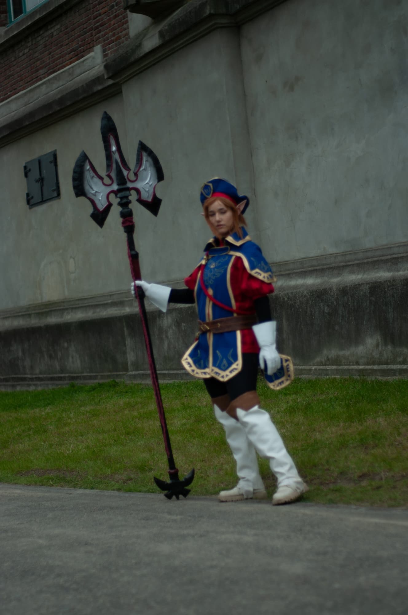Royal guard link - Photo 20
