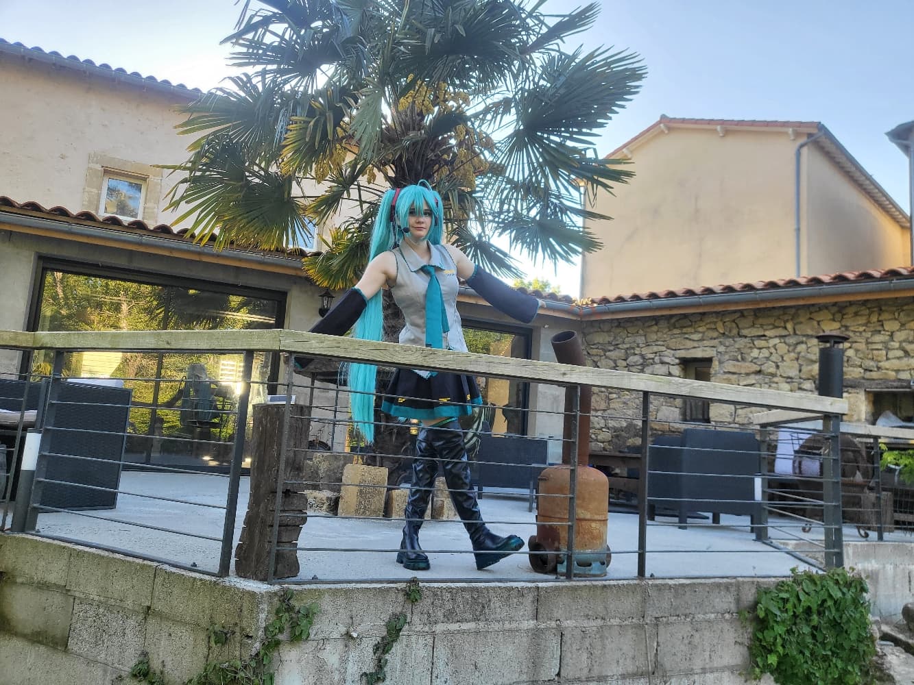 Miku - Photo 7