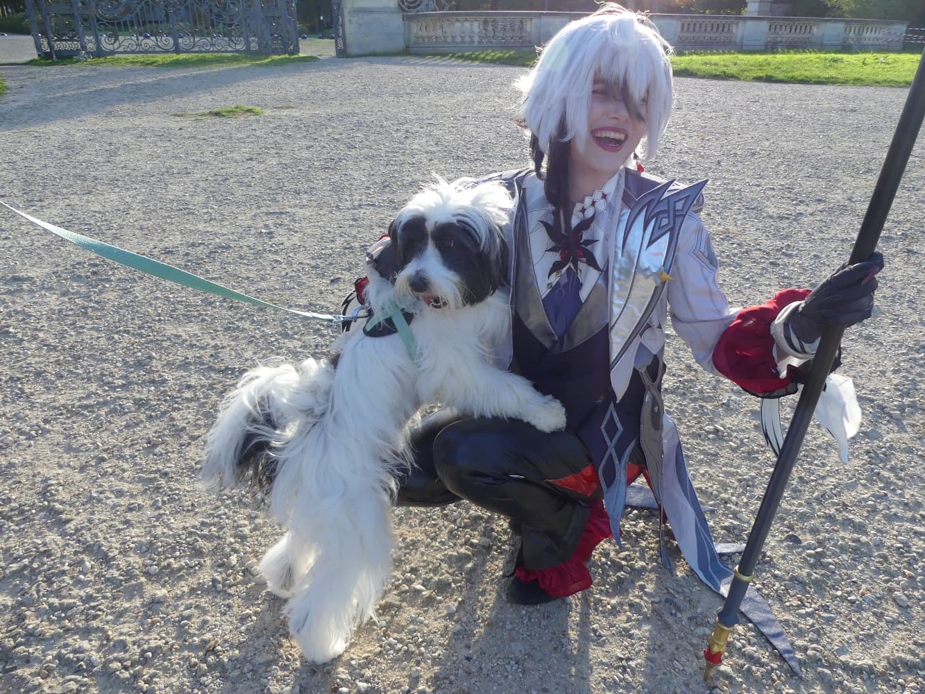 Arlecchino  - Photo 5