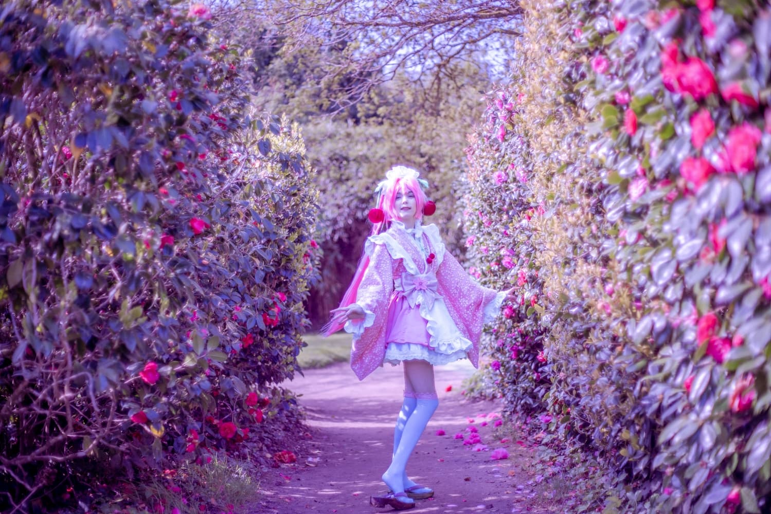 Sakura Miku -Hanami- - Photo 6