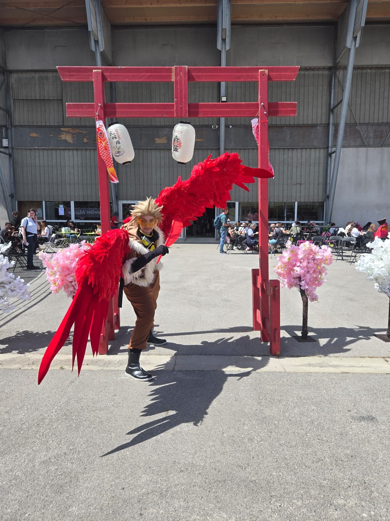Hawks  - Photo 19