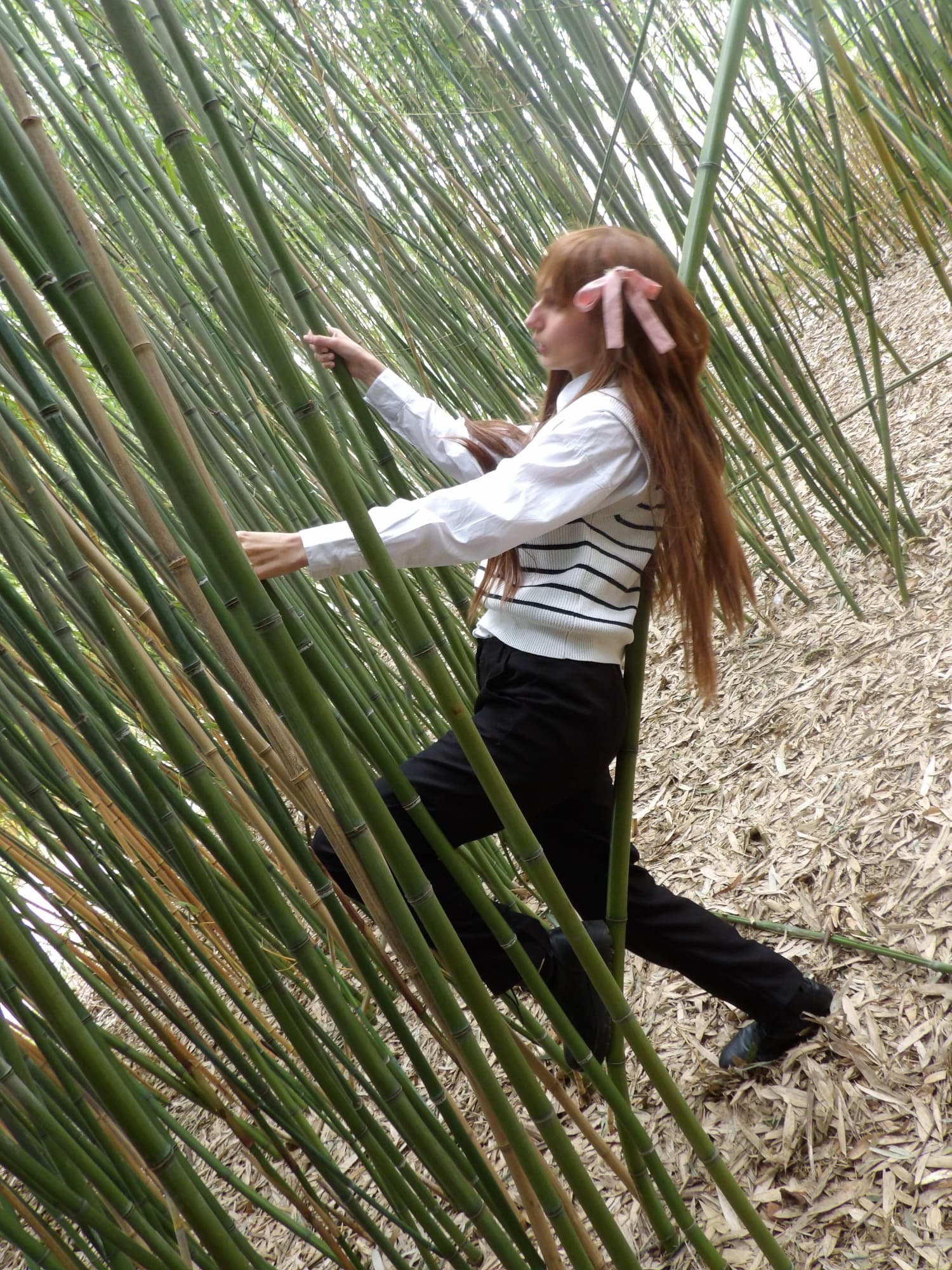 Tohru Honda  - Photo 46