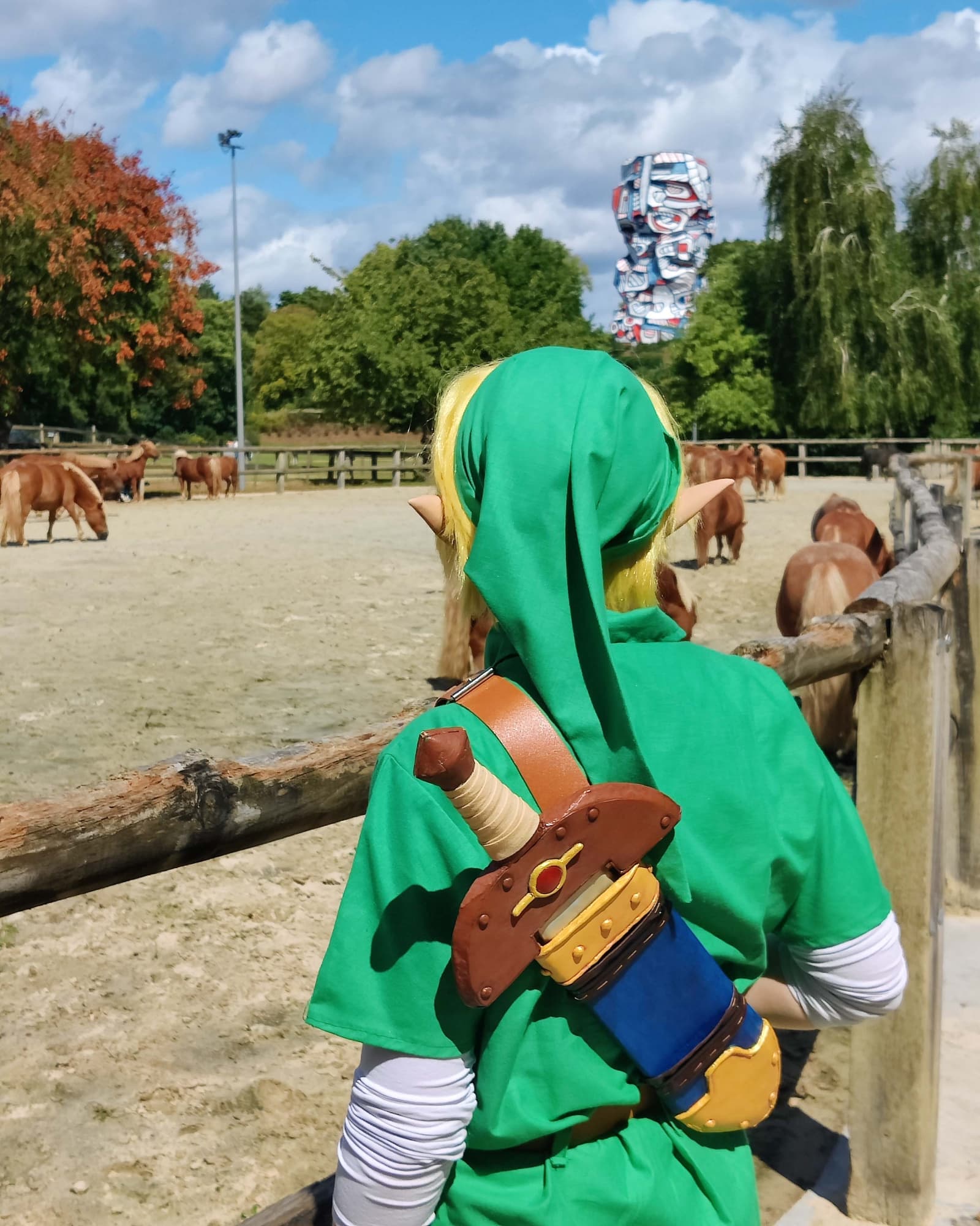 Link Lon lon - Photo 4