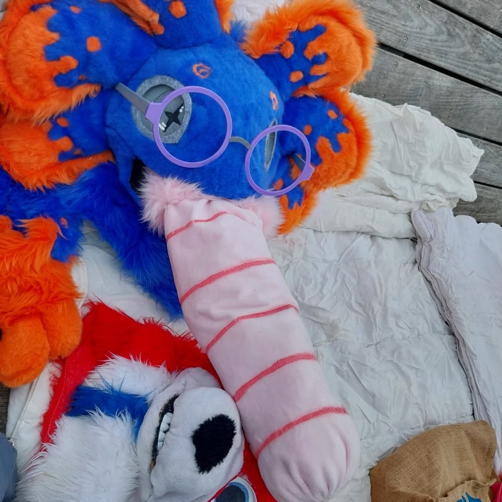 Stellar à japanante - Photo 3