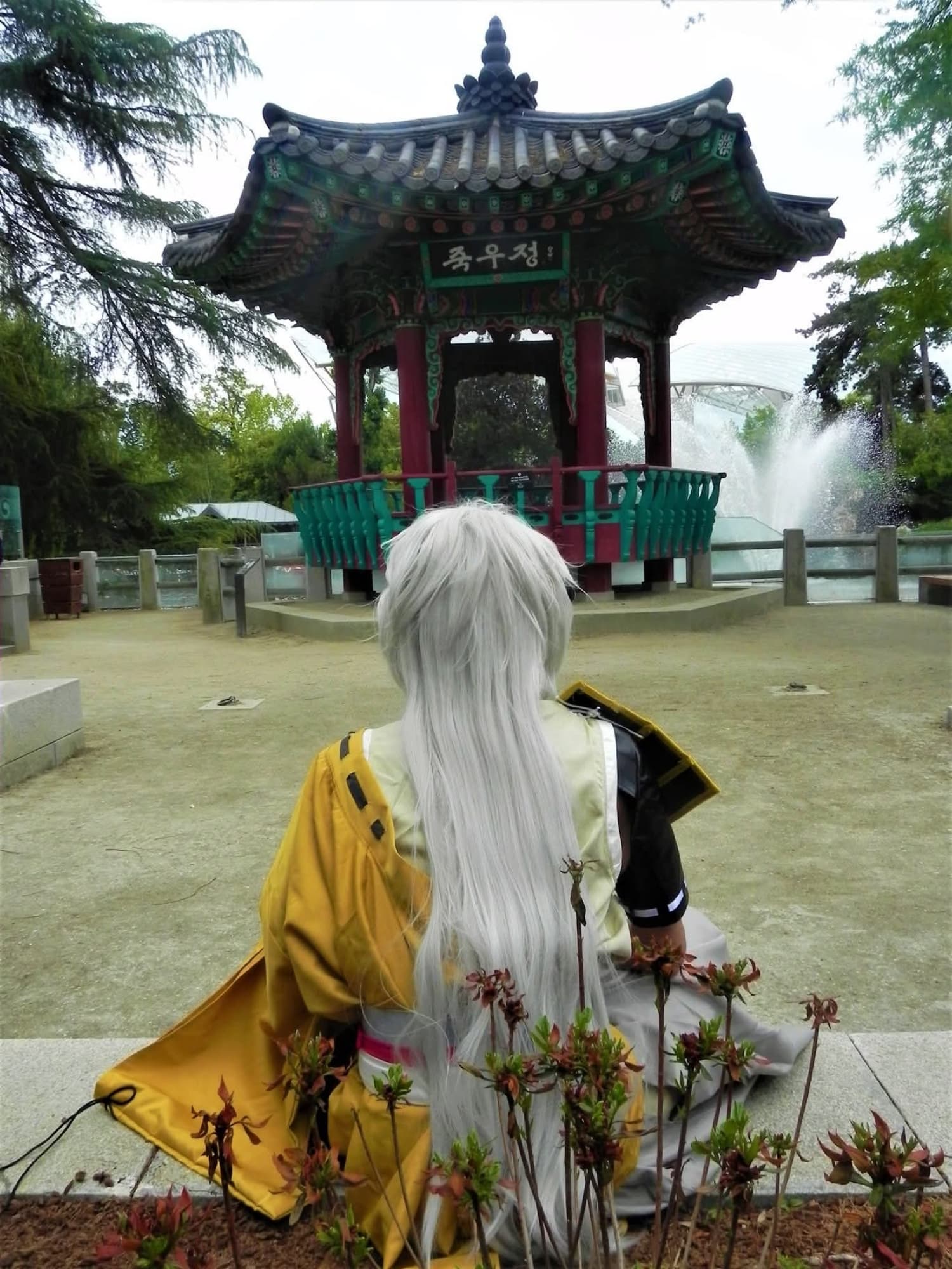 Kojitsumaru - Photo 6