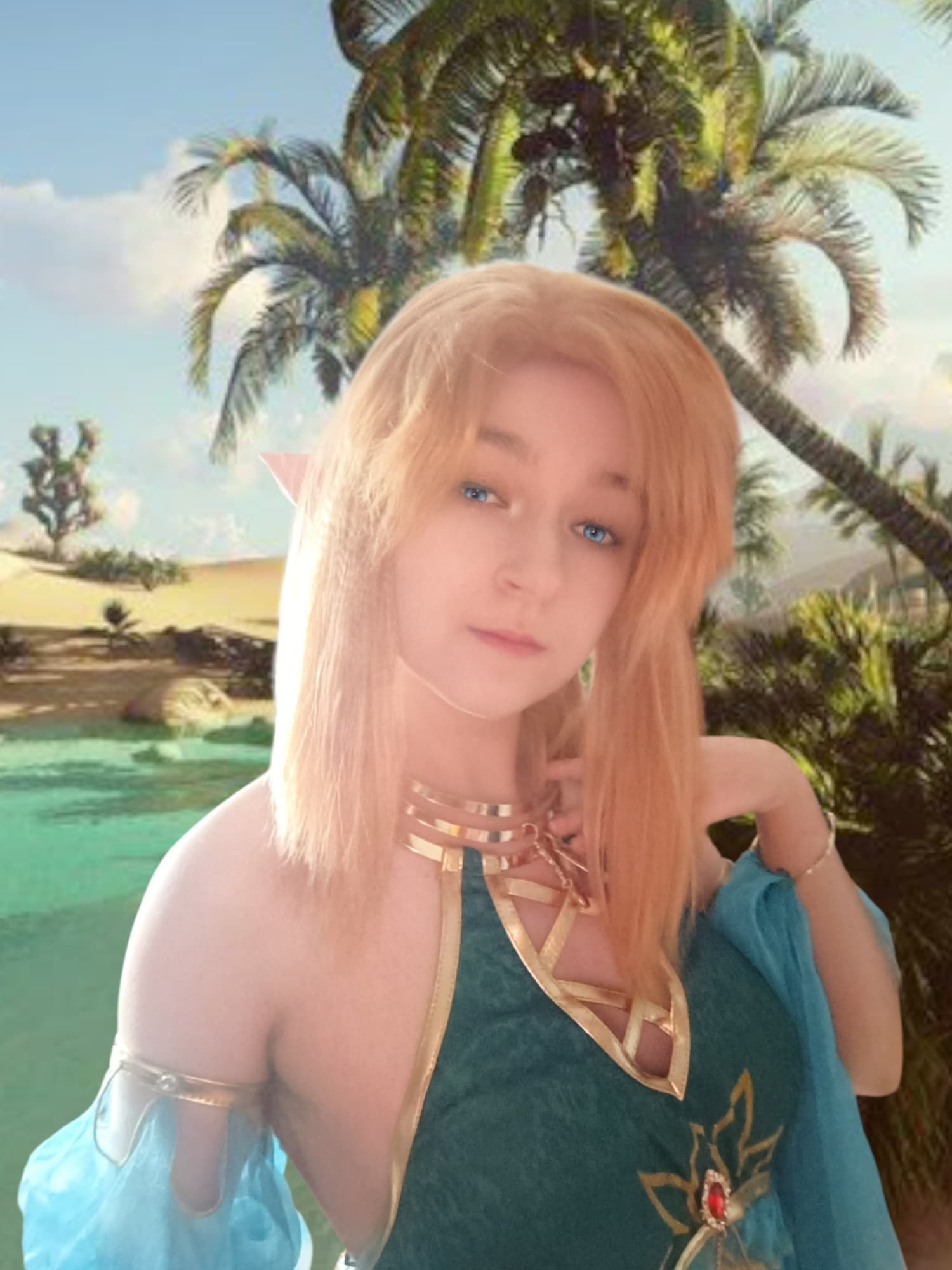 Link gerudo - Photo 1