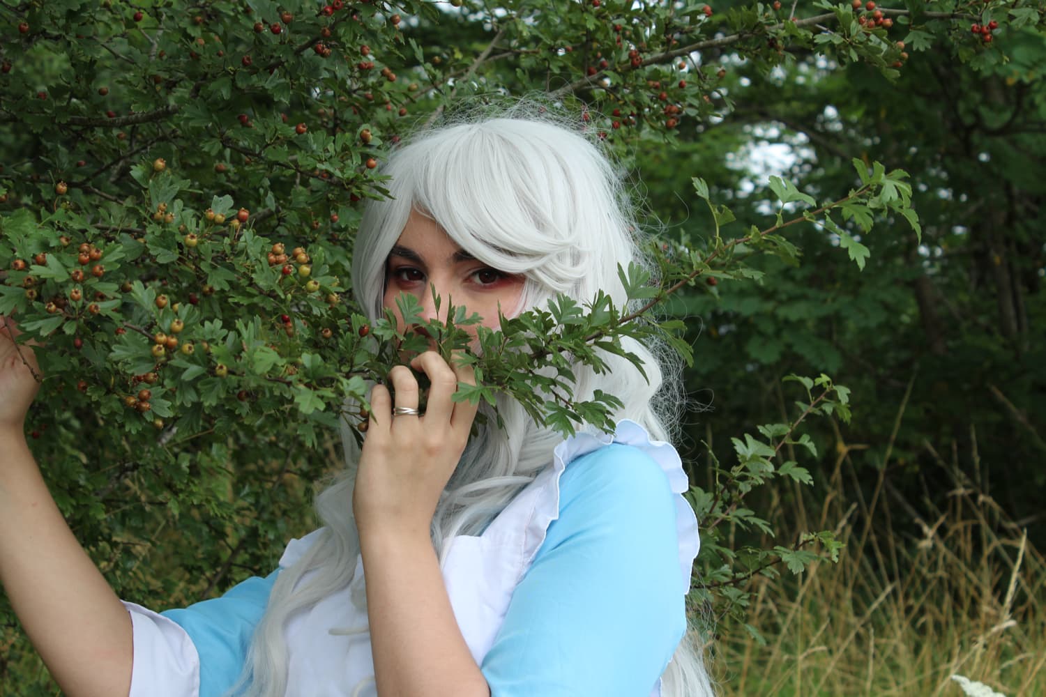 Marry Kozakura - Photo 4