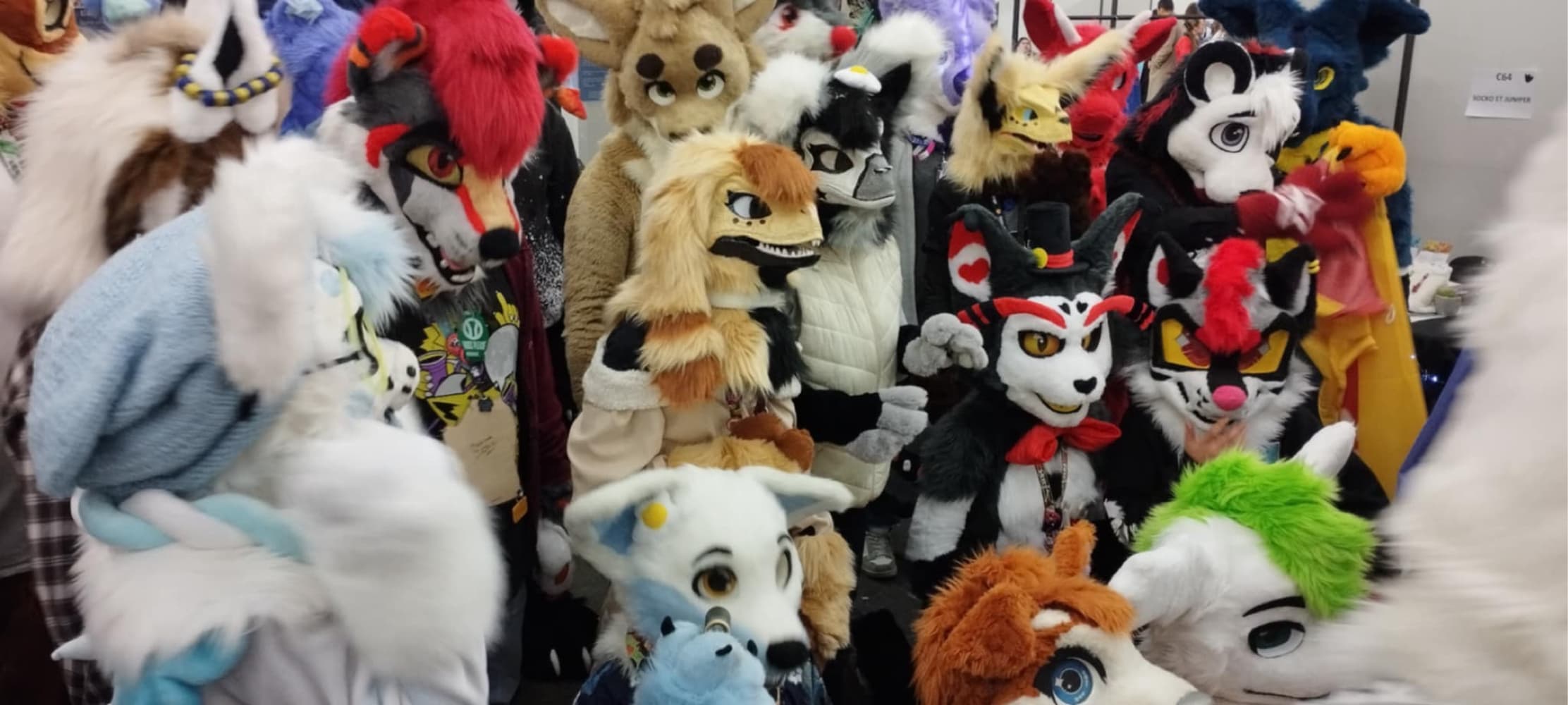 Photos Tapioca - Photo 21