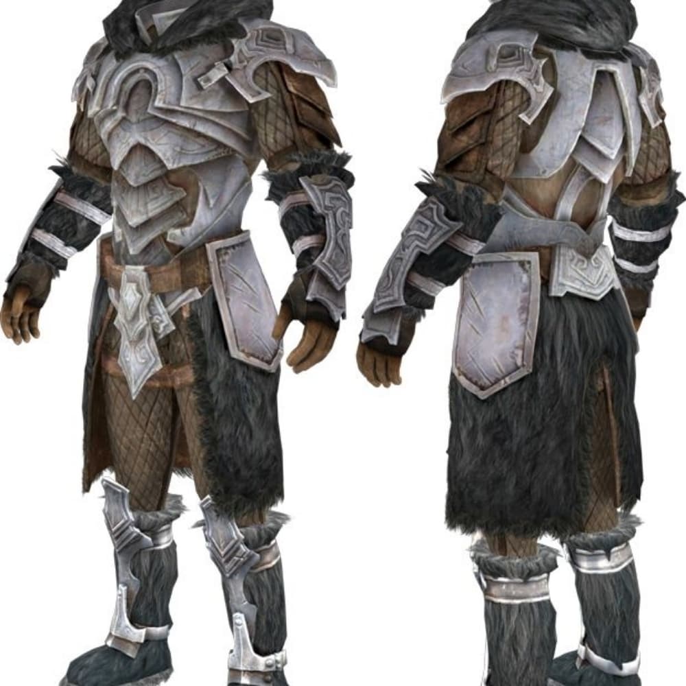 Armure nordique gravé 