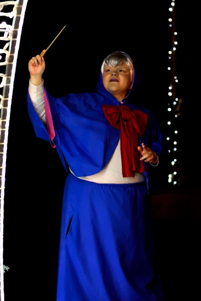 Marraine Cendrillon  - Photo 4