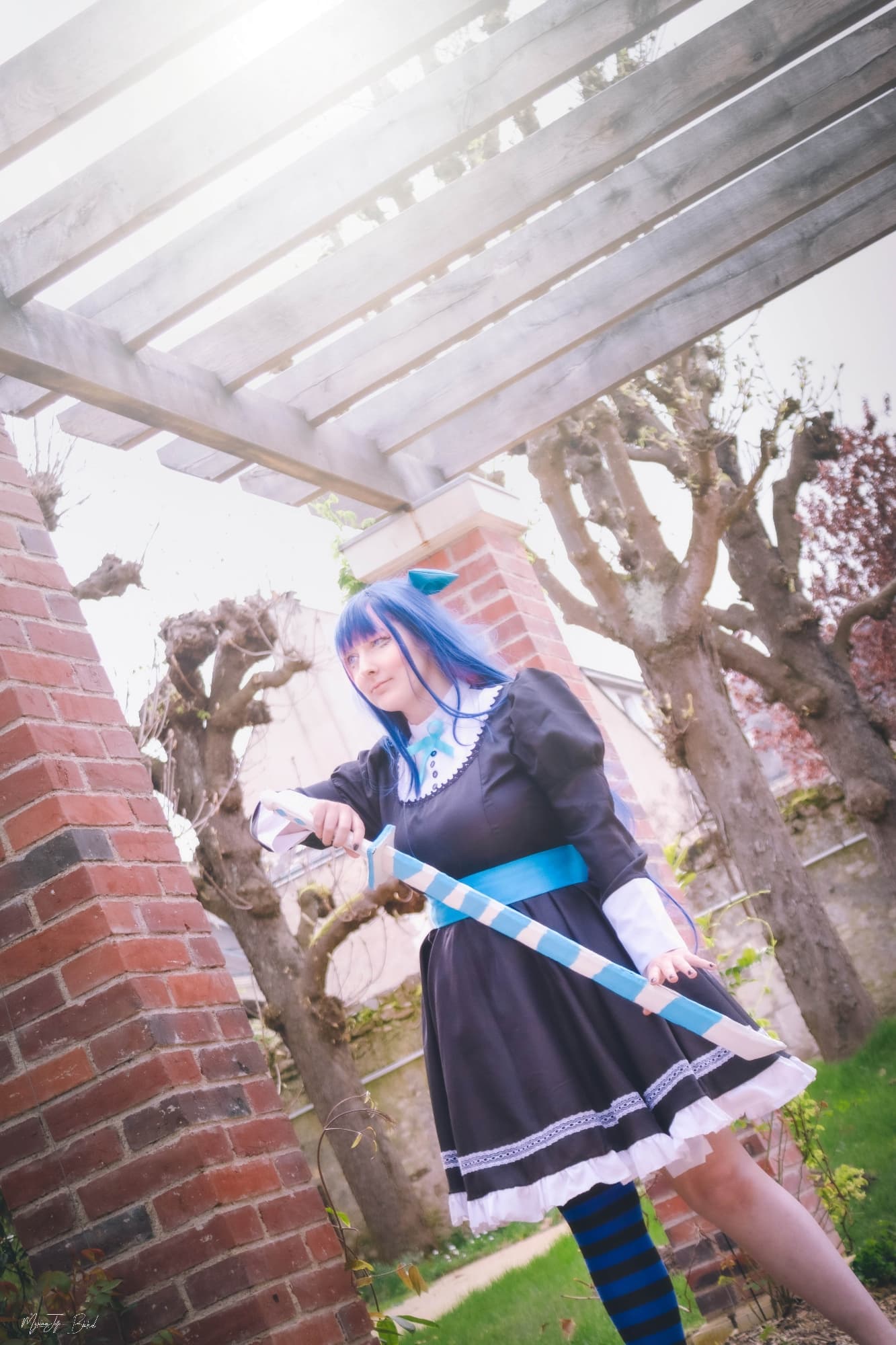 Stocking Anarchy - Photo 4