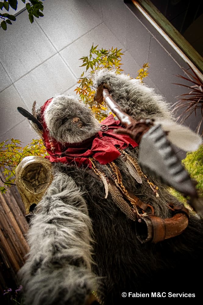 Un Ewok à Vitrolles - Photo 1