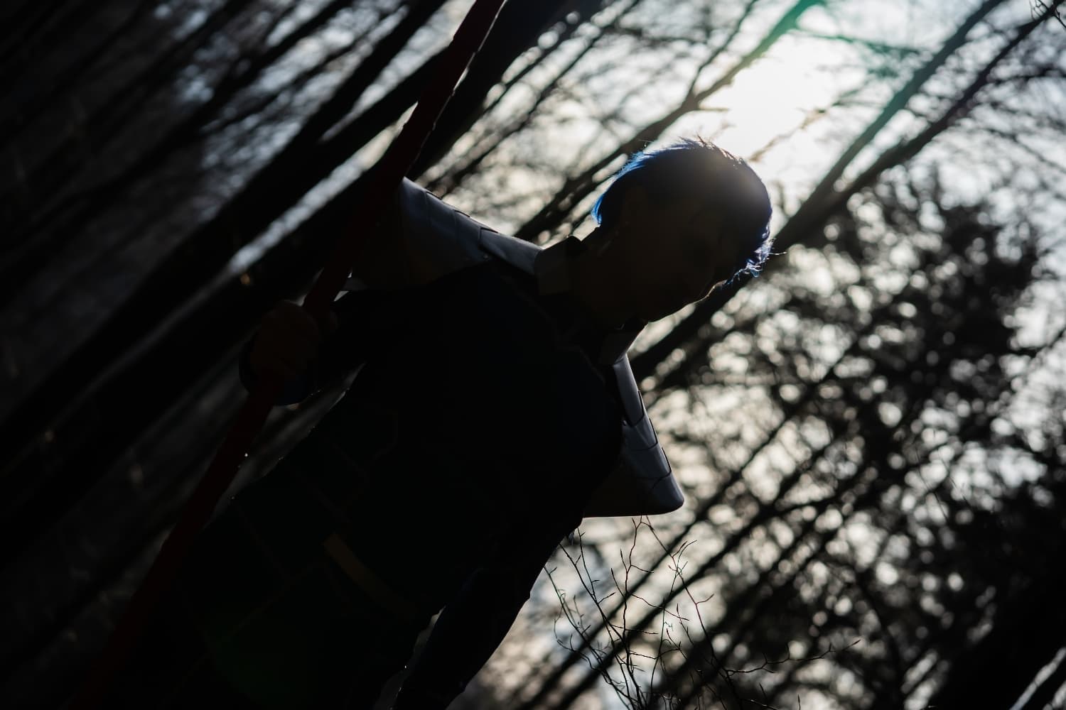 Cù Chulainn - Fate - Photo 5