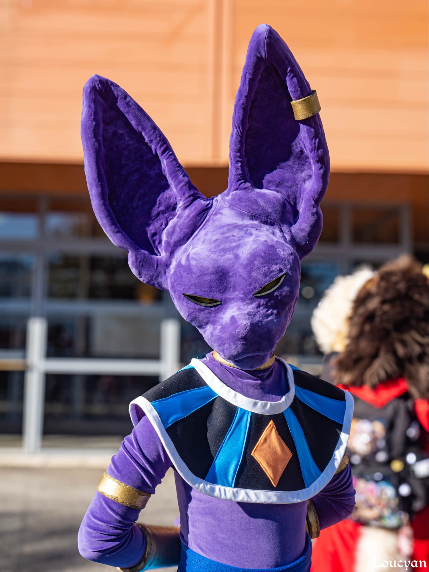 Beerus - Photo 1