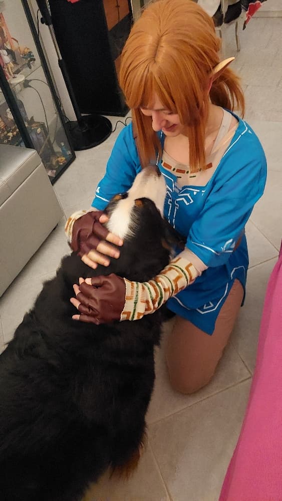 Link (Botw) - Photo 25