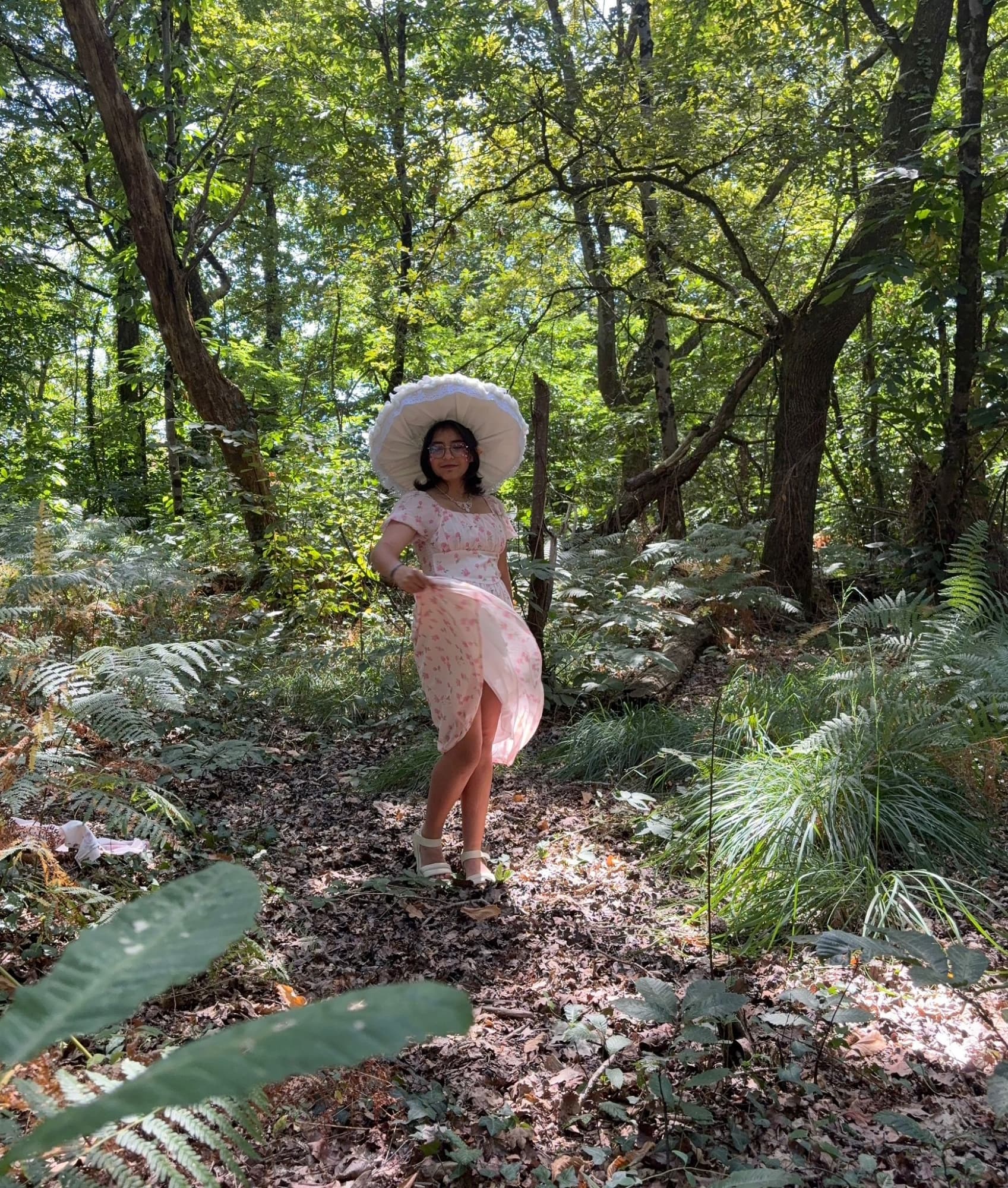 Champignon féerique  - Photo 4