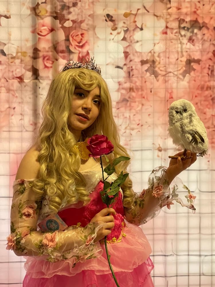 Princesse Aurore - Photo 6