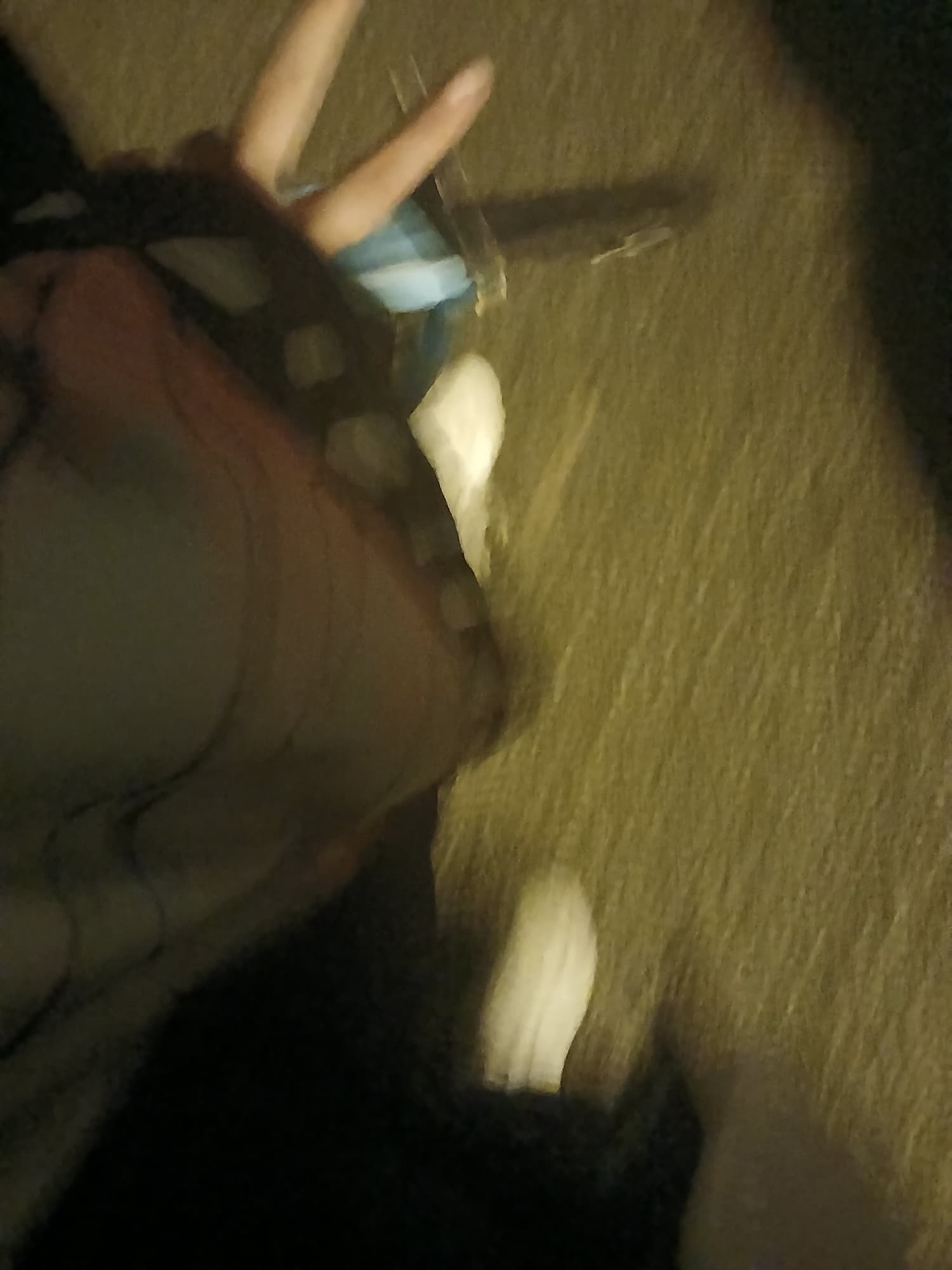 Halloween shinobu  - Photo 4