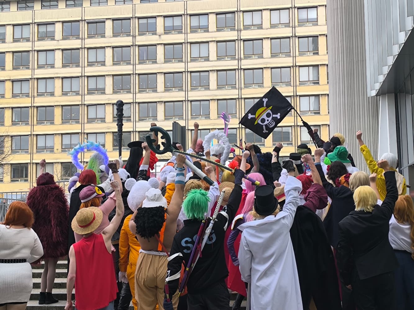 One Piece - Anim'est