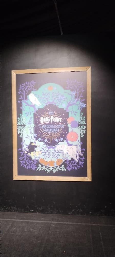 La forêt interdite - Photo 20