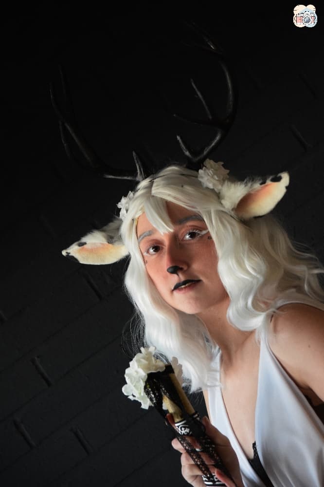 Faune noir et blanc - Photo 10