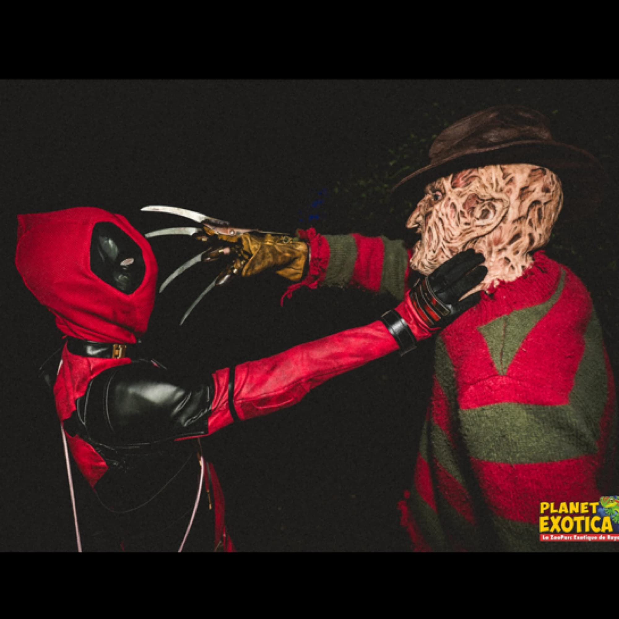 freddy krueger  - A Nightmare on Elm Street cosplay photoshoot cover