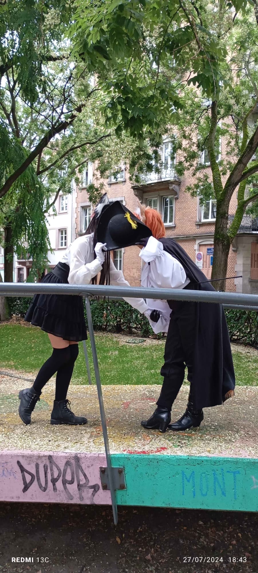 Chat Potté  - Photo 4