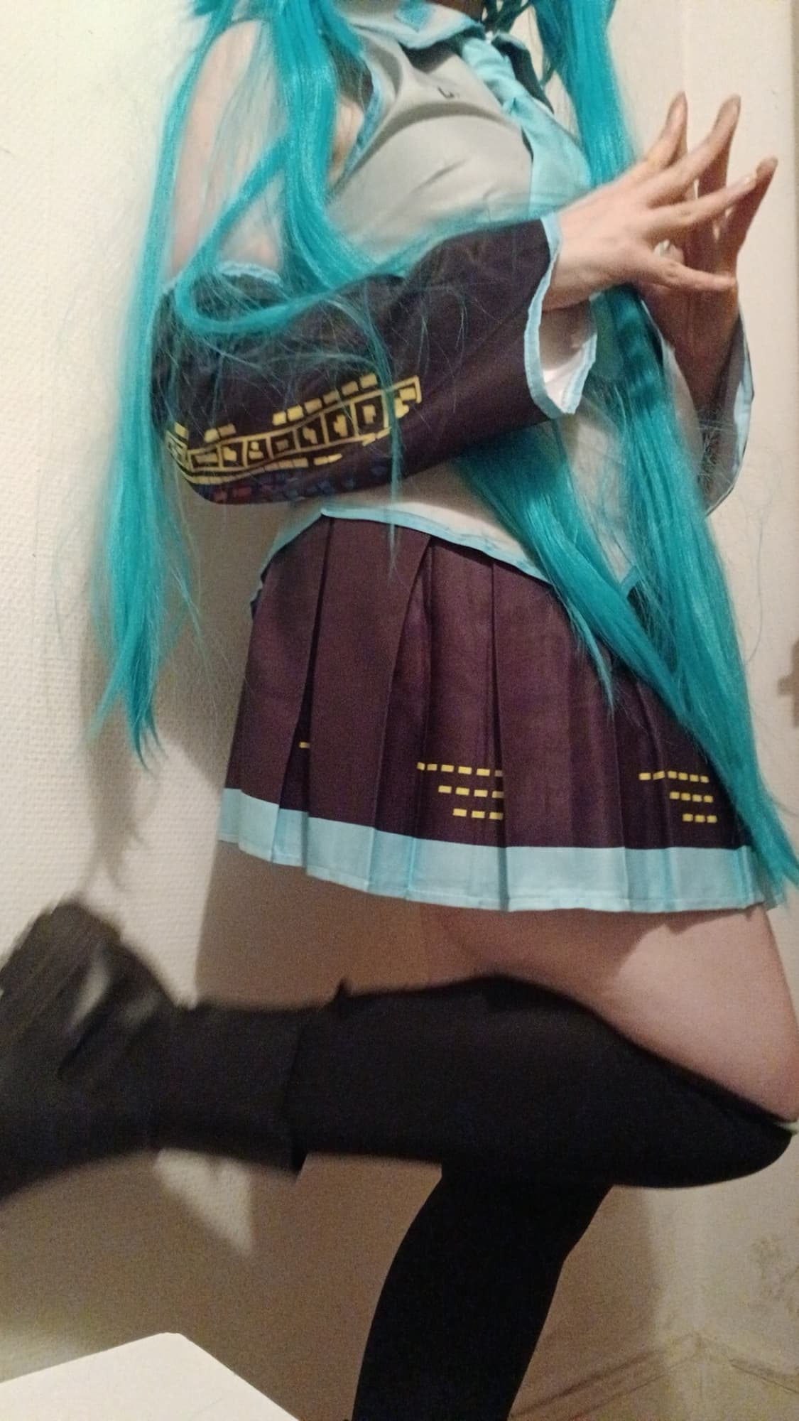 Hatsune miku  - Photo 2