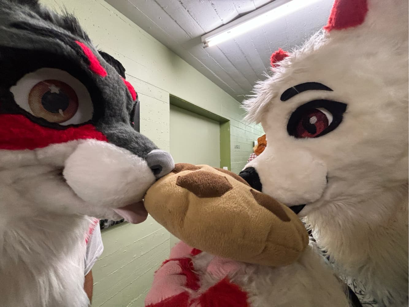 switzerland - Photo 1