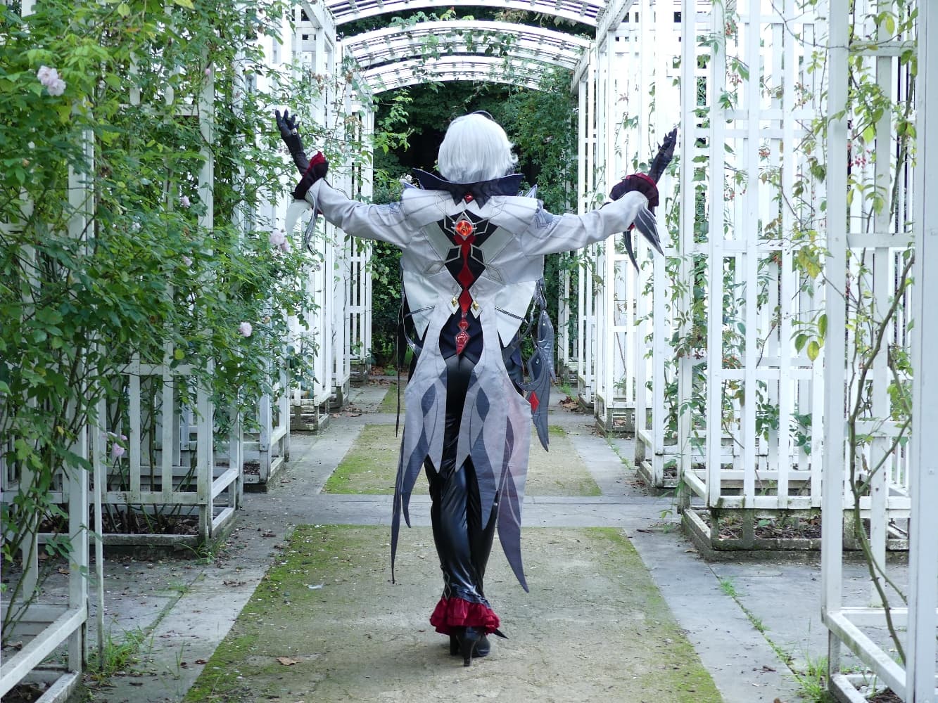 Arlecchino - Photo 7