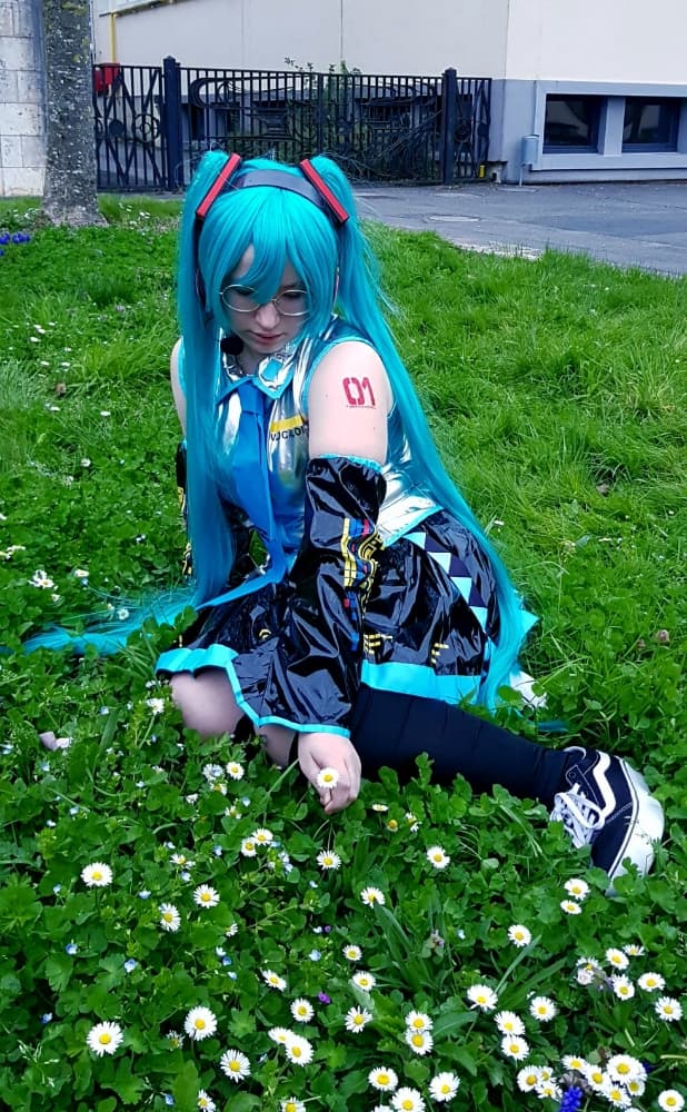 Hatsune miku  - Photo 14