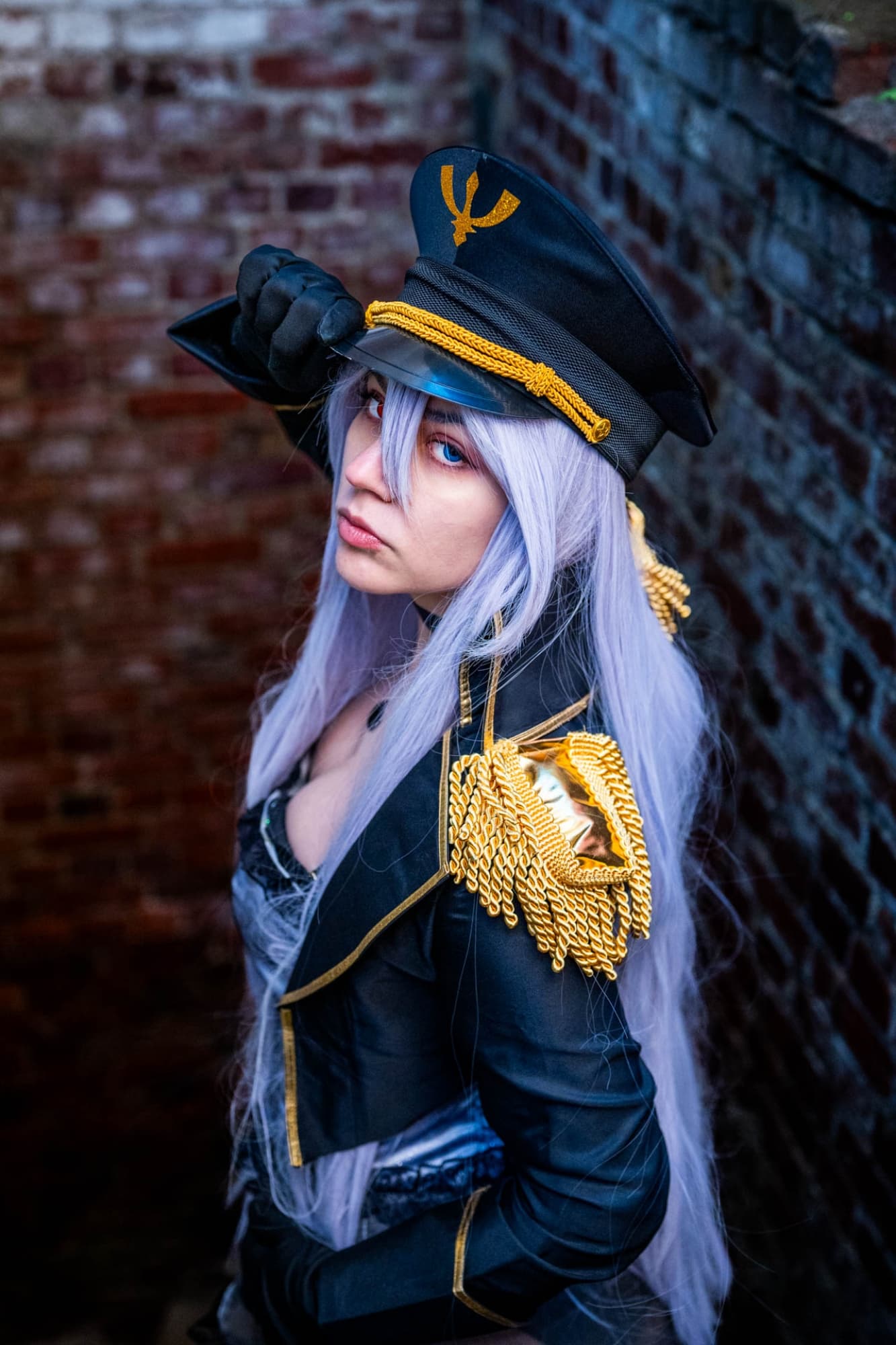 Black lobelia  - Photo 15