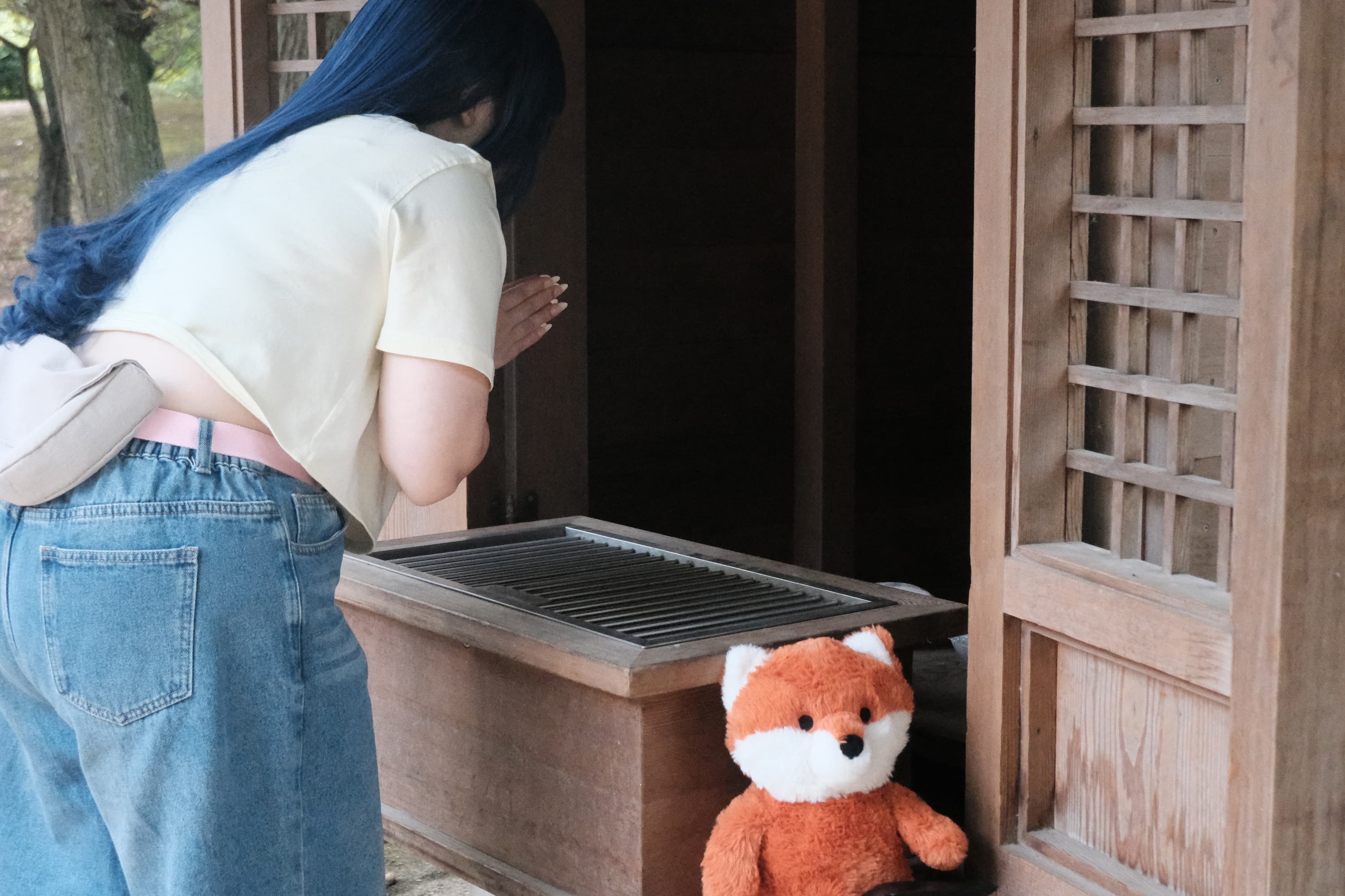 Himawari  - Photo 35