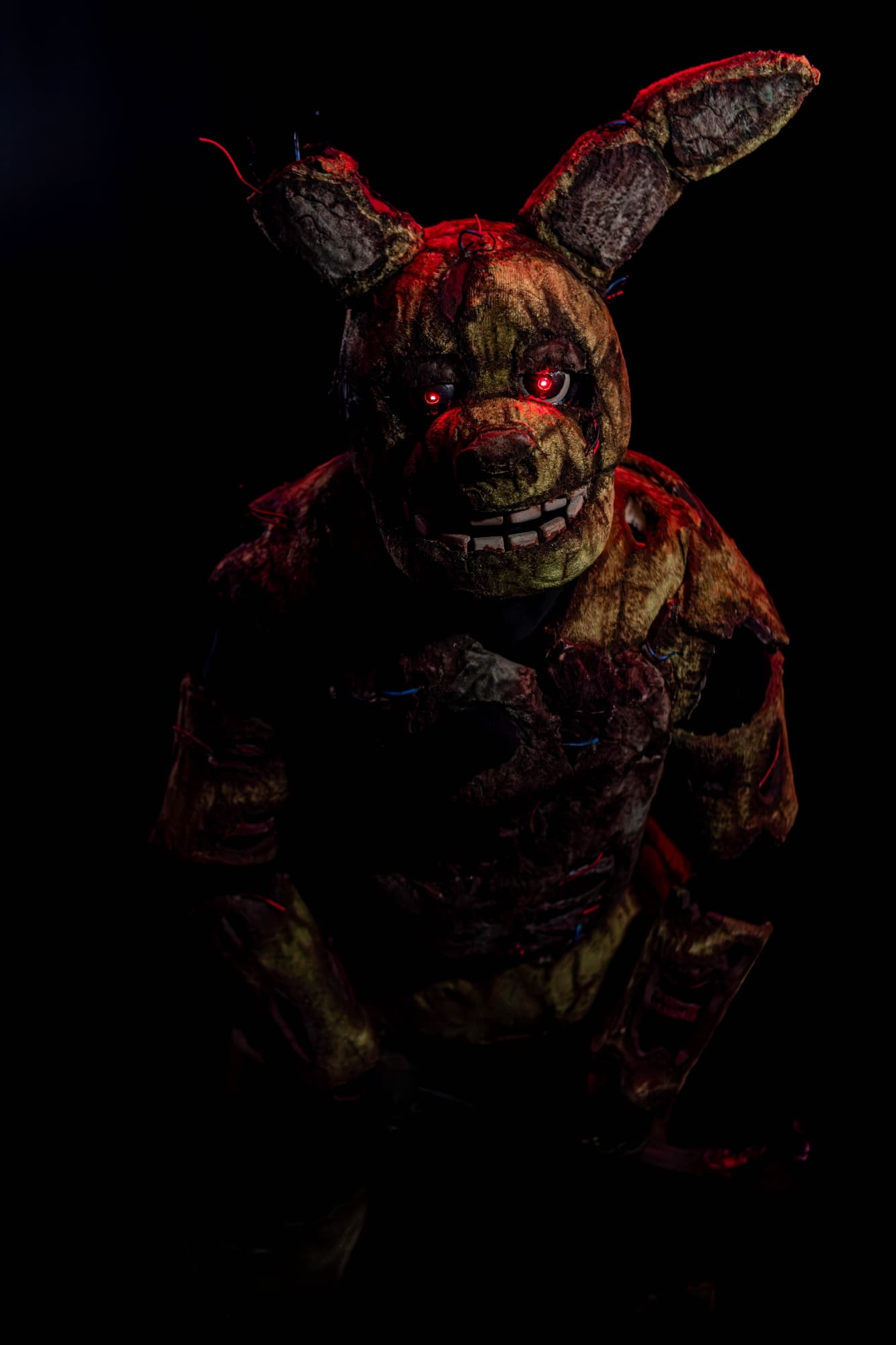 Shoot special - Photo 2