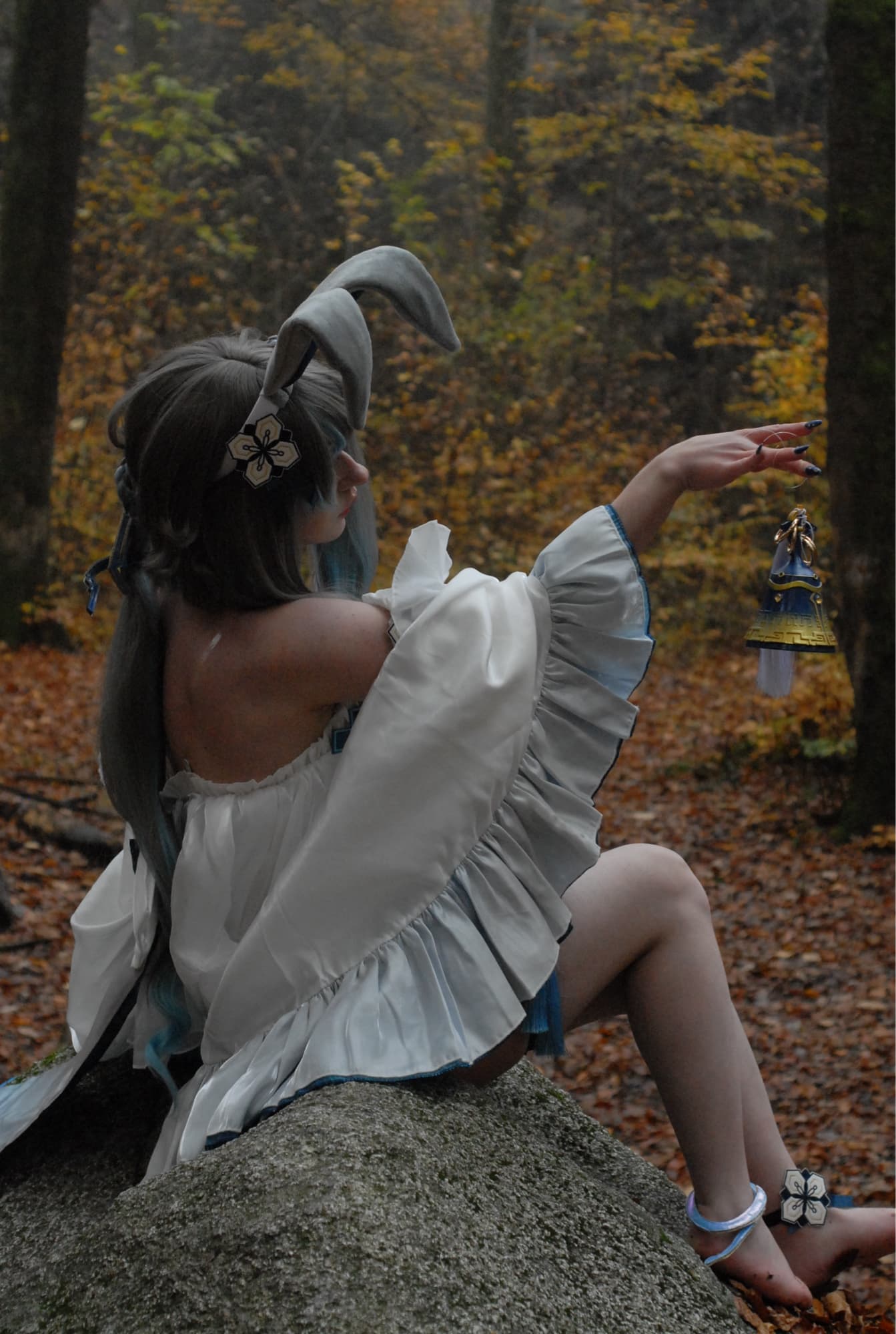 Guizhong Bunny - Photo 12