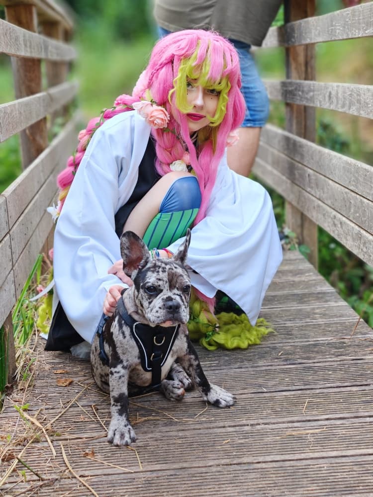 Mitsuri kanroji - Photo 10